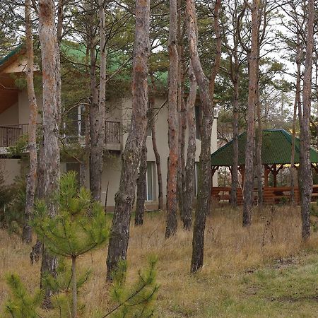 Hotel Allians Коблево Экстерьер фото